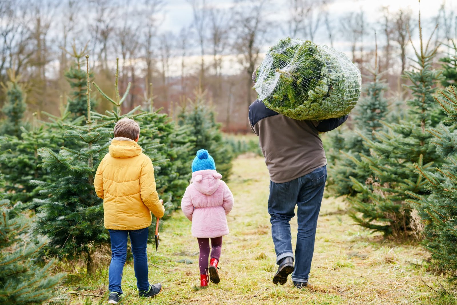 Tree Farm Family