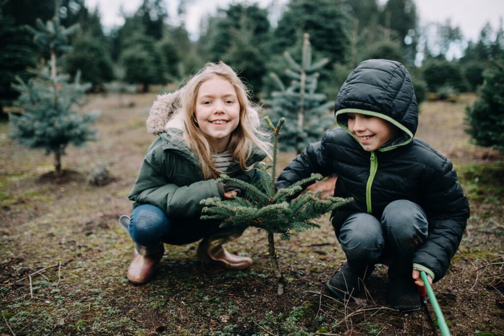 Tree Farm Family 4