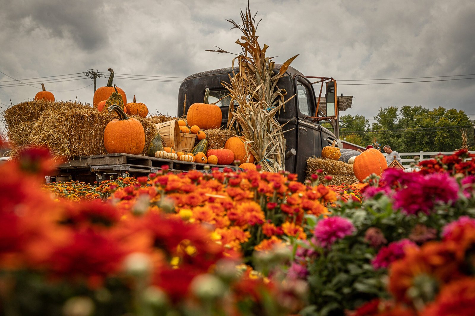 Vintage Truck in Fall scaled